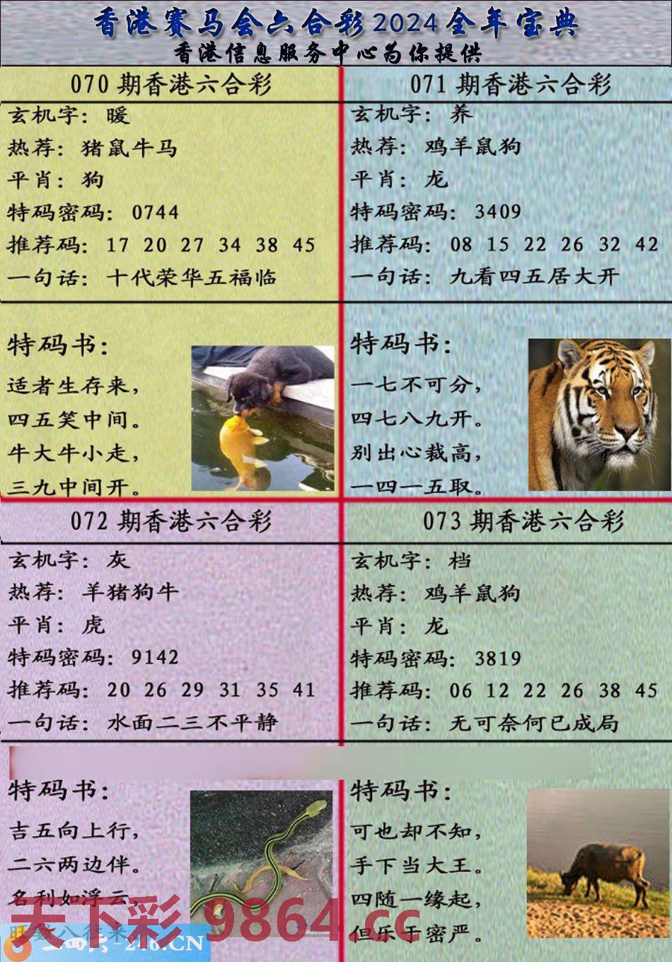：宝典报